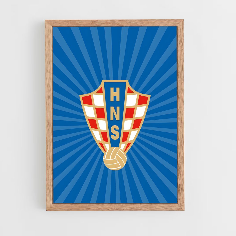 Poster Handball Fever (vue 4)